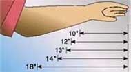 Length